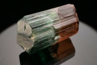 AESTHETIC Bi - Color Tourmaline Crystal CRUZEIRO,  BRAZIL 10