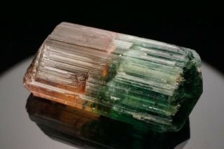 AESTHETIC Bi - Color Tourmaline Crystal CRUZEIRO,  BRAZIL 11