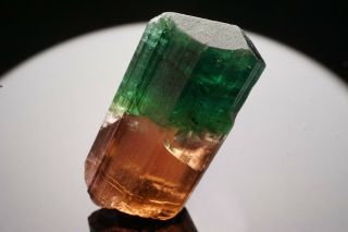 AESTHETIC Bi - Color Tourmaline Crystal CRUZEIRO,  BRAZIL 12