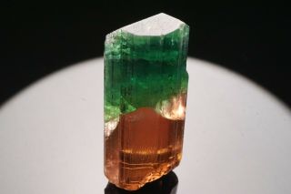AESTHETIC Bi - Color Tourmaline Crystal CRUZEIRO,  BRAZIL 2