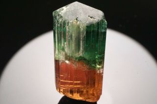 AESTHETIC Bi - Color Tourmaline Crystal CRUZEIRO,  BRAZIL 3