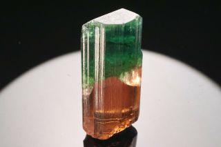 AESTHETIC Bi - Color Tourmaline Crystal CRUZEIRO,  BRAZIL 4