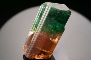 AESTHETIC Bi - Color Tourmaline Crystal CRUZEIRO,  BRAZIL 6