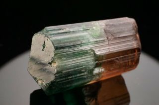 AESTHETIC Bi - Color Tourmaline Crystal CRUZEIRO,  BRAZIL 7