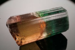 AESTHETIC Bi - Color Tourmaline Crystal CRUZEIRO,  BRAZIL 8