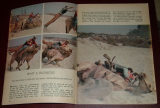 1964 Tv Article Gunsmoke Stunt Burt Reynolds & Stuntman Ron Rondell
