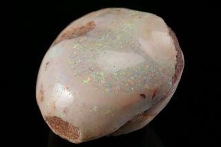 AESTHETIC Precious Opal after Fossil Clam Shell COOBER PEDY,  AUSTRALIA 10