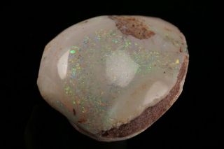 AESTHETIC Precious Opal after Fossil Clam Shell COOBER PEDY,  AUSTRALIA 3