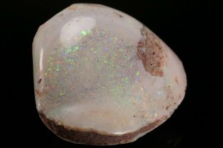 AESTHETIC Precious Opal after Fossil Clam Shell COOBER PEDY,  AUSTRALIA 4