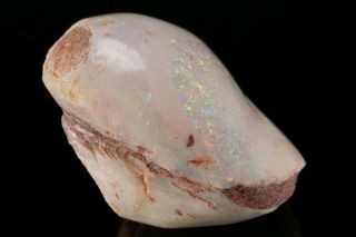 AESTHETIC Precious Opal after Fossil Clam Shell COOBER PEDY,  AUSTRALIA 5
