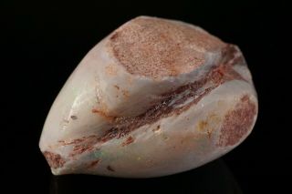 AESTHETIC Precious Opal after Fossil Clam Shell COOBER PEDY,  AUSTRALIA 6