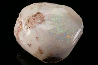 AESTHETIC Precious Opal after Fossil Clam Shell COOBER PEDY,  AUSTRALIA 7