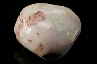 AESTHETIC Precious Opal after Fossil Clam Shell COOBER PEDY,  AUSTRALIA 9