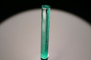 GEM Emerald Crystal MUZO,  COLOMBIA 4
