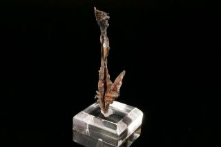 EXCEPTIONAL Native Silver Crystal HIMMELSFURST MINE,  GERMANY - Ex.  Obodda 12