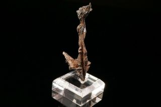 EXCEPTIONAL Native Silver Crystal HIMMELSFURST MINE,  GERMANY - Ex.  Obodda 8