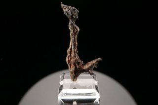 EXCEPTIONAL Native Silver Crystal HIMMELSFURST MINE,  GERMANY - Ex.  Obodda 9