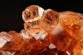 EXTRAORDINARY Hessonite Grossular Garnet Crystal Cluster JEFFREY MINE,  CANADA 10