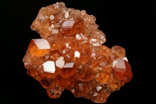 EXTRAORDINARY Hessonite Grossular Garnet Crystal Cluster JEFFREY MINE,  CANADA 11