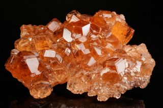EXTRAORDINARY Hessonite Grossular Garnet Crystal Cluster JEFFREY MINE,  CANADA 12