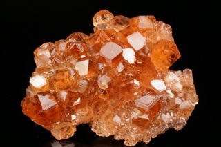 Extraordinary Hessonite Grossular Garnet Crystal Cluster Jeffrey Mine,  Canada