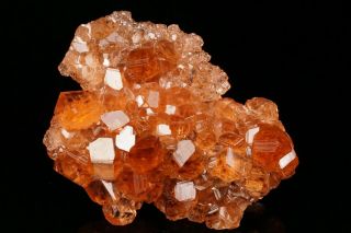 EXTRAORDINARY Hessonite Grossular Garnet Crystal Cluster JEFFREY MINE,  CANADA 3