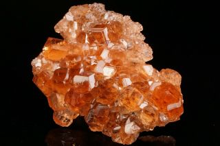 EXTRAORDINARY Hessonite Grossular Garnet Crystal Cluster JEFFREY MINE,  CANADA 4