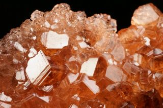 EXTRAORDINARY Hessonite Grossular Garnet Crystal Cluster JEFFREY MINE,  CANADA 5