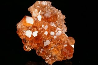 EXTRAORDINARY Hessonite Grossular Garnet Crystal Cluster JEFFREY MINE,  CANADA 6