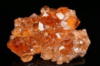 EXTRAORDINARY Hessonite Grossular Garnet Crystal Cluster JEFFREY MINE,  CANADA 7