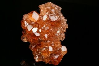 EXTRAORDINARY Hessonite Grossular Garnet Crystal Cluster JEFFREY MINE,  CANADA 9