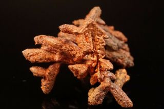 UNIQUE Native Copper Crystal NORTHWESTERN MINE,  MICHIGAN - Ex.  McLoughlin 7