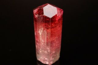 CLASSIC Bi - Color Tourmaline Crystal CRUZEIRO,  BRAZIL 4