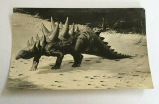 Polacanthus Dinosaur Postcard,  British Museum Natural History,  Neave Parker