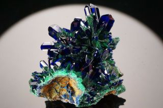 AESTHETIC Azurite & Malachite Crystal Cluster COBRE MINE,  MEXICO - Ex.  Jensen 3