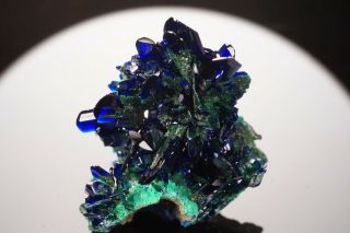 AESTHETIC Azurite & Malachite Crystal Cluster COBRE MINE,  MEXICO - Ex.  Jensen 4