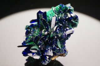 AESTHETIC Azurite & Malachite Crystal Cluster COBRE MINE,  MEXICO - Ex.  Jensen 6