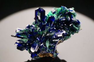 AESTHETIC Azurite & Malachite Crystal Cluster COBRE MINE,  MEXICO - Ex.  Jensen 8