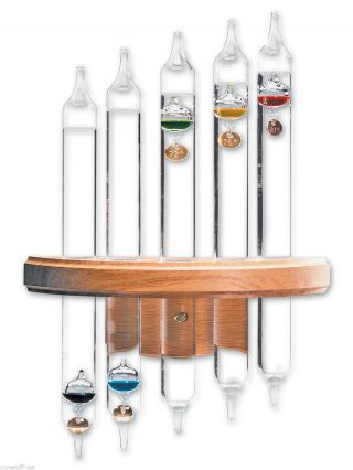 5 - Tube Galileo Thermometer Wall Mount Hanging Gold Tags - Oak