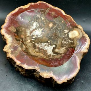 7.  7lb Natural Red Polished Petrified Wood Fossil Ashtray Polished Madagascar