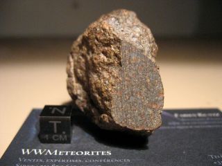 Nwa 12464 - One Of The Only 7 Meteorites Classified Ll3.  15 - Windowed Individual