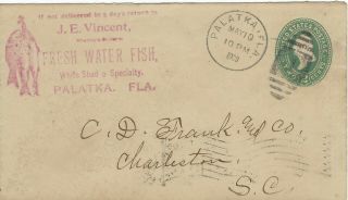 1900 Palatka Florida Illustrated Envelope J.  E.  Vincent Fresh Water Fish Shad