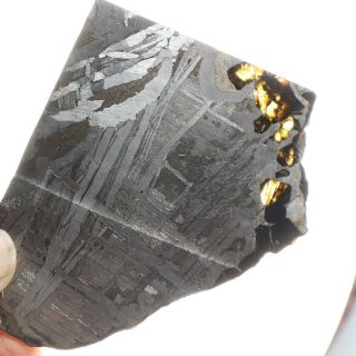 89g Transitional Seymchan Pallasite Meteorite Etched Slice A2939