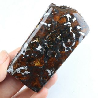 76g Rare Slices Of Kenyan Pallasite Olive Meteorite A3283