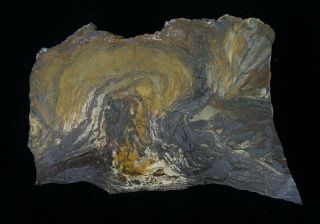 Precambrian Stromatolite From The J & L Mine Masabi Range Mn Polished Slice