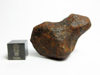 Mundrabilla Iron Meteorite 57.  98g Stunning Siderite Showpiece