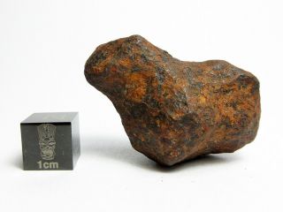 Mundrabilla Iron Meteorite 57.  98g Stunning Siderite Showpiece 2