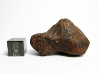 Mundrabilla Iron Meteorite 57.  98g Stunning Siderite Showpiece 3