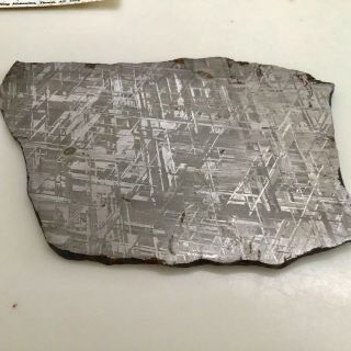 Large Cut Gibeon Group Iva Iron Meteorite 224 G