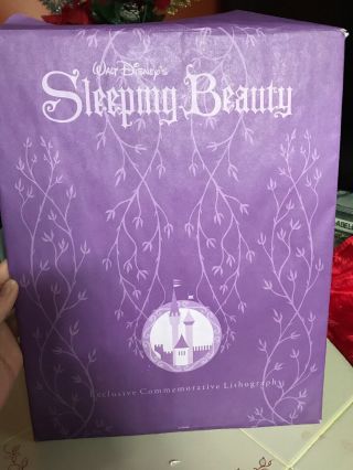 Walt Disney Sleeping Beauty Exclusive Commemorative Lithograph Matted Princess